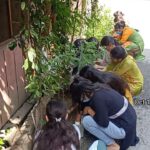 9136b4ce-59d1-40cf-b1ae-48ca7bd67818